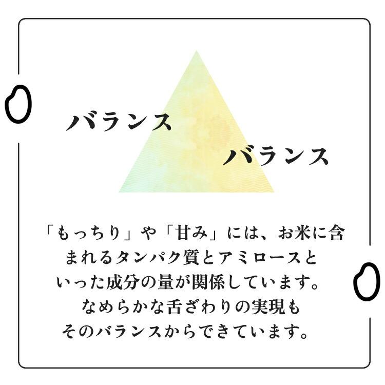 青森の新ブランド米＜新米＞ 産地直送 米 5kg 5年産 はれわたり 青森県産 白米5kg