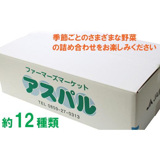 ふるさと納税 鳥取県 日吉津村 TA01：ふるさと野菜詰め合わせ（３回お届け）