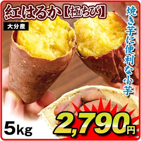 さつまいも 5kg 大分産 紅はるか ご家庭用 送料無料 食品