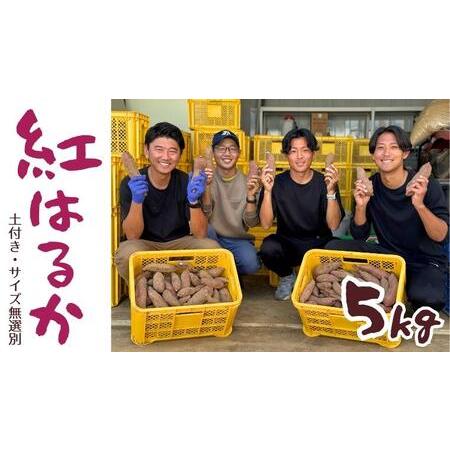 ふるさと納税 茨城県産 さつまいも 紅はるか 5kg （ 土付き サイズ無選別 ） べにはるか いも 茨城 甘い おいしい 美味しい 茨城県つくばみらい市