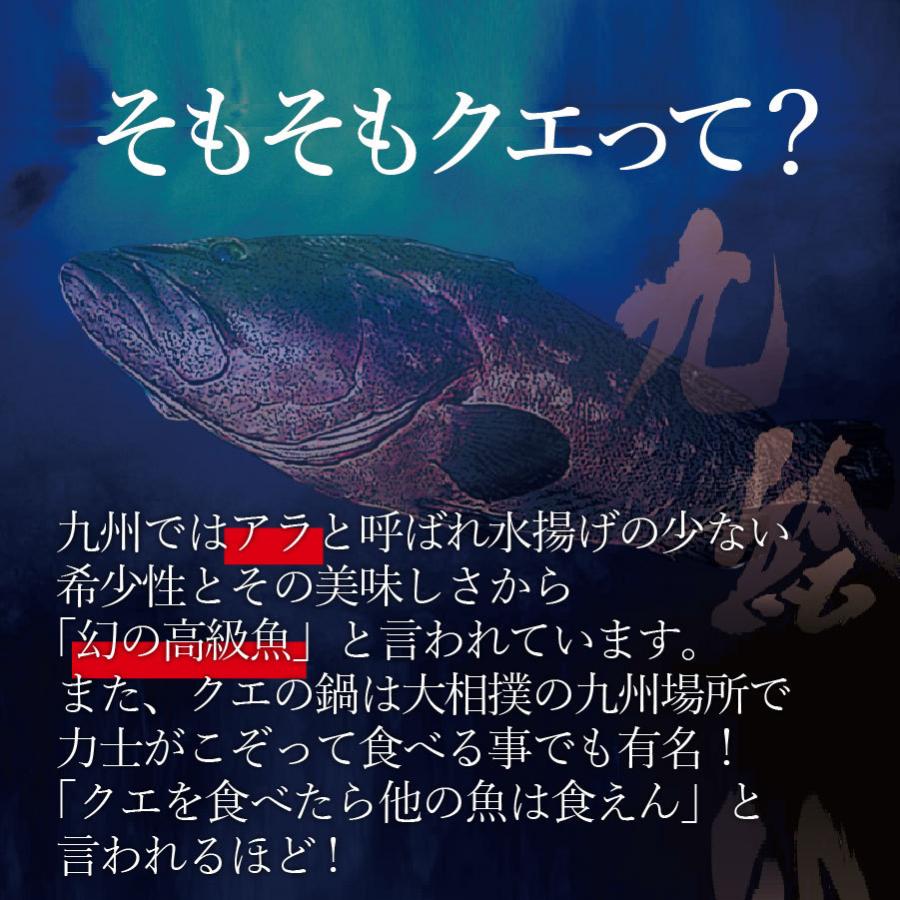 お歳暮 ギフト 長崎産天然クエと真鯛の海鮮丼セット(クエだし醤油付き) ギフト 送料込み 産地グルメ クエ刺身 鯛刺身 プロトン冷凍 よか魚イチオシ