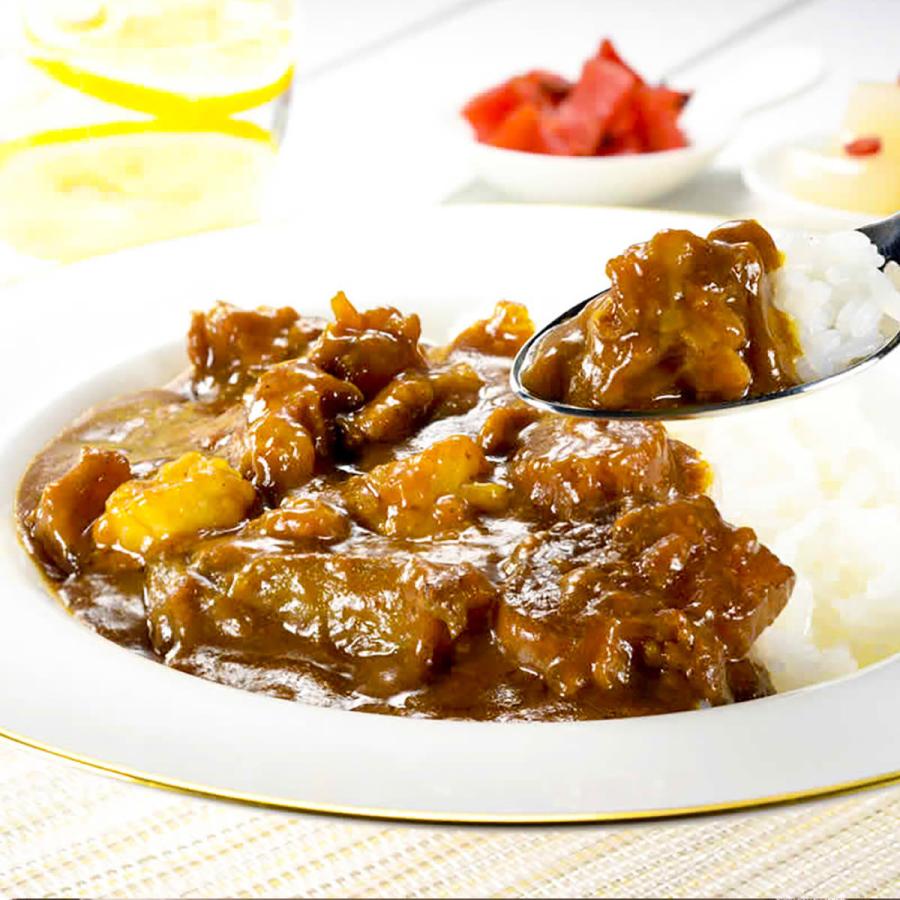 博多牛すじカレー 5個セット レトルトカレー 辛口 惣菜 カレー 常温保存