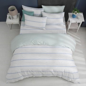 雙人薄被套加大床包組/ 100%精梳純棉 / 純棉 / 艾普斯 [鴻宇] 台灣製 - C20162