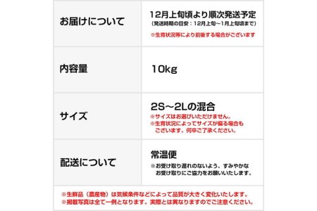 完熟温州みかん 10kg 和歌山のみかん職人が作るこだわりミカン