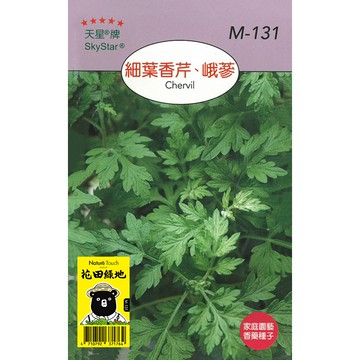 花田綠地種子 細葉香芹、峨蔘