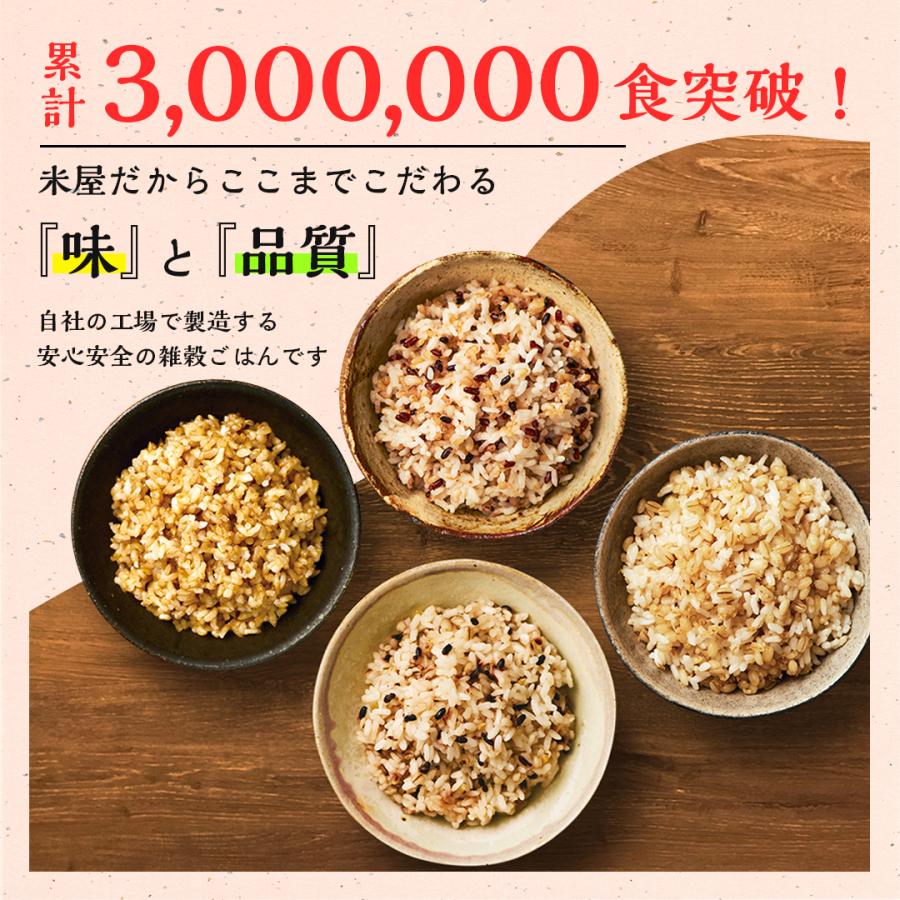 ゆめぴりか 無洗米 5kg ご飯パック 12個セット 金賞健康米 金のいぶき玄米 詰め合わせ おくさま印 白米 食べ比べ レトルト レンジで簡単 温めるだけ 送料無料