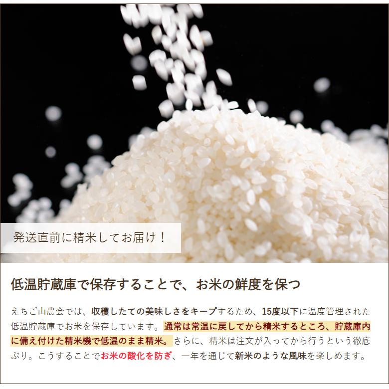 特別栽培米（無農薬・無化学肥料）下田産コシヒカリ「白雪美人」（従来品種）精米2kg えちご山農会 送料無料