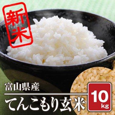 富山県産 てんこもり(令和4年) 10kg