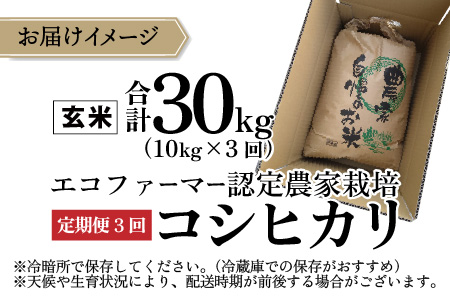 越前大野産 エコファーマー認定農家栽培 こしひかり 玄米 10kg × 3回 計30kg[E-001003_02]