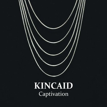 【KINCAID】蛇骨素鍊 龍骨鍊 多尺寸蛇骨鍊 鈦鋼項鍊 男生項鍊 男生飾品 嘻哈項鍊 純鈦鋼項鍊 裸鍊 單鍊 鋼鍊