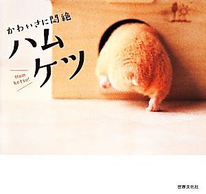  かわいさに悶絶　ハムケツ／世界文化社(著者)