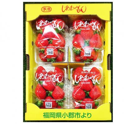 ふるさと納税 小郡市 いちご職人　白木のいちご　あまおう　300g×4パック詰め(M〜3Lサイズ)