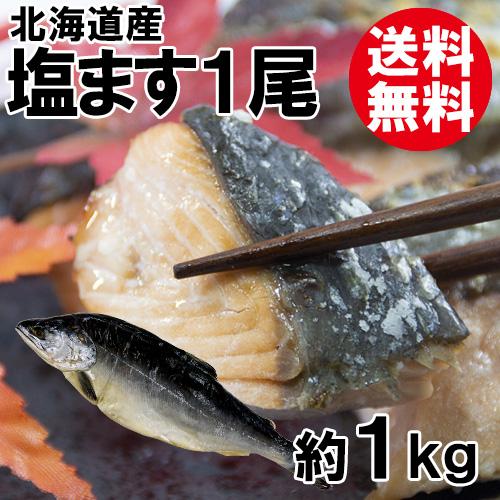 塩ます1尾(約1kg)(北海道産)[送料無料]