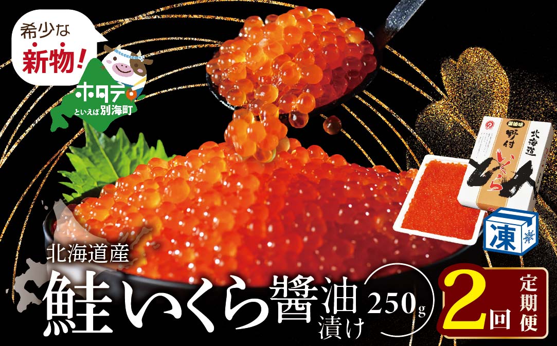 希少な新物いくら！計500g 2ヵ月 定期便 漁協 直送！本場「北海道」 いくら 醤油漬け