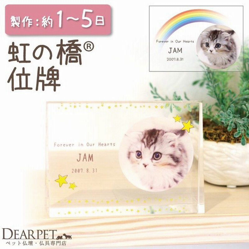 ネットショップ ペット 位牌 クリスタル キャトル クリスタル カラー かわいい 彫刻無料 ペット位牌 メッセージ メモリアル 名入れ 動物 犬 猫 特製box付 直販超安い People Thehomeinsulators Com