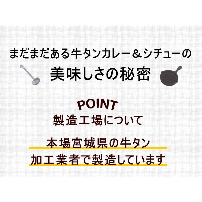 レトルトカレー＆シチュー 200g（各1袋づつ）2袋セットポイント消化 レトルト 食品 お試し レトルト食品 仙台名物 牛タン