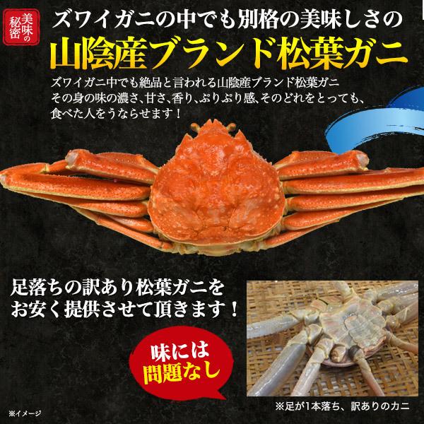 ズワイガニ ボイル 姿 訳あり 600~700g 境港 松葉ガニ ゆで カニ かに 蟹 松葉がに 釜茹で 訳アリ 国産 漁港直送 冷蔵便