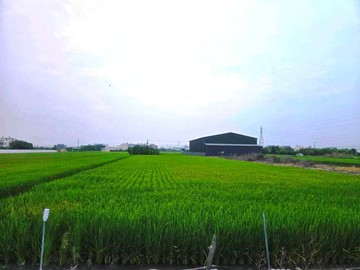 彰化土地-社頭1042坪大面寬美農地｜彰化縣社頭鄉湳西段