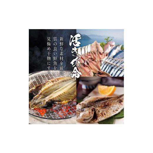 ふるさと納税 大分県 佐伯市 名物 佐伯ごまだし (計600g・120g×5本) 