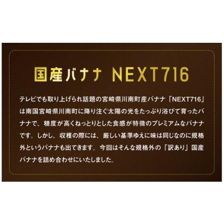 ふるさと納税 国産バナナ １ｋｇ【 国産 バナナ 無農薬 フルーツ 果物 デザート 朝食 スムージー 訳ありバナナ 全12.. 宮崎県川南町