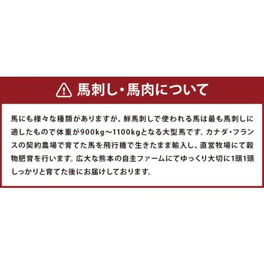 ふるさと納税 熊本県 合志市 馬刺し 赤身 ・ タタキ ・ ユッケ セット 3種 計290g 馬肉 ブロック 食べ比べ 熊本県