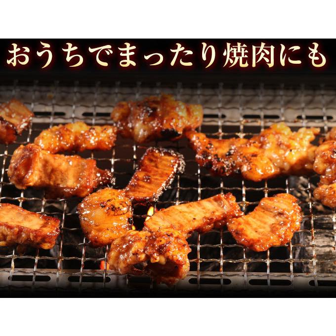 ホルモン 訳あり 肉 焼肉 バーベキュー お取り寄せ グルメ ギフト 食品 ポイント消化 人気 シマチョウ てっちゃん もつ 味噌 タレ 500g