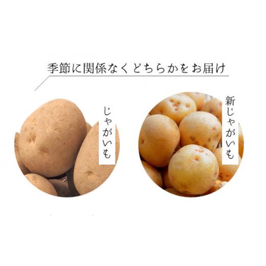 ふるさと納税 長崎県 大村市  じゃが玉人参セット 約5kg じゃがいも・玉ねぎ・人参の定番野菜 3品目の野菜詰め合わせ 夏季は7〜8品目 野…