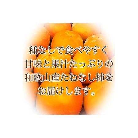 ふるさと納税 和歌山秋の味覚　平核無柿（ひらたねなしがき）約7.5kg ※2024年10月上旬?10月下旬頃に順次発送予定 和歌山県美浜町