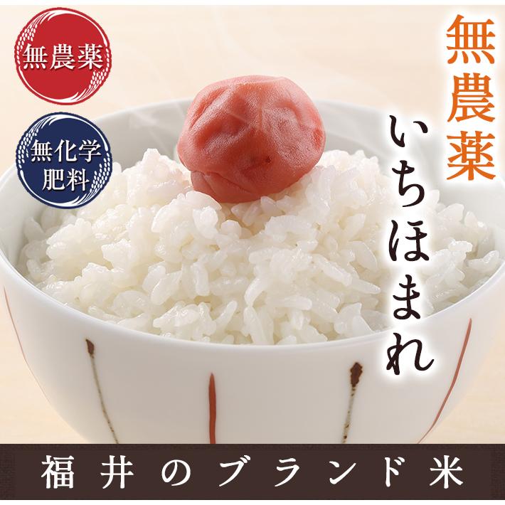 無農薬 玄米 米 10kg(5kg×2袋) 無農薬 いちほまれ 令和5年福井県産 送料無料 無農薬・無化学肥料栽培