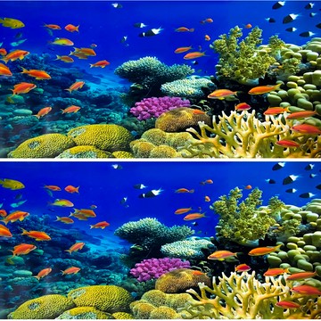 Mimine Aqua 海底海洋之旅 B款 魚缸背景海報  61 x 30cm  多色  2個