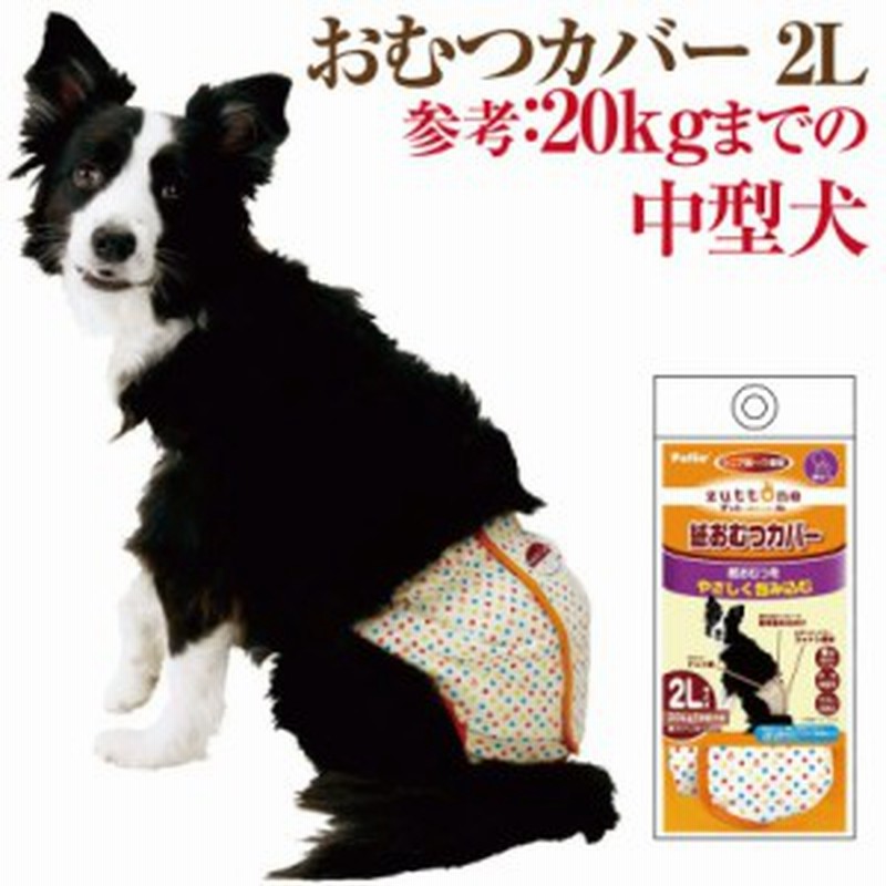 犬用 おむつカバー 2l ペティオの紙おむつ専用のオムツカバー 老犬介護 生理パンツ おむつ 通販 Lineポイント最大1 0 Get Lineショッピング