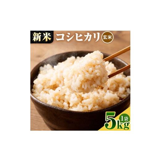 ふるさと納税 高知県 土佐清水市 令和6年産 新米コシヒカリ玄米５kg（１袋）お米 健康食品 食物繊維