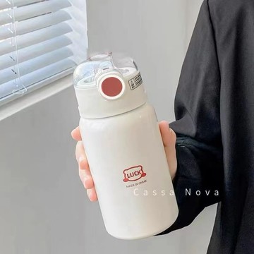 🔥臺灣出貨🔥簡約吸管保溫杯450ML 簡約保溫杯 吸管杯 316不鏽鋼水壺 手提杯 咖啡杯 車載杯 保冷杯 保溫杯