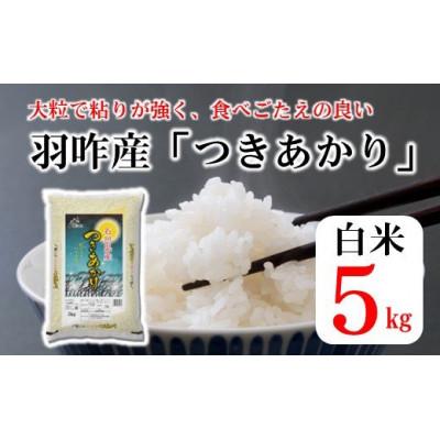 ふるさと納税 羽咋市 石川県産　つきあかり　5kg(5kg×1袋)　白米