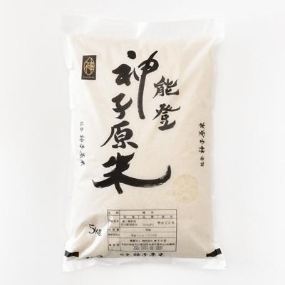 ふるさと納税 羽咋市 「能登神子原米」5kg×2