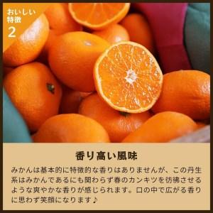 ふるさと納税 蔵出しみかん丹生系｜和歌山県海南市下津町の特産品蔵出しみかんの最高級品種 和歌山県海南市