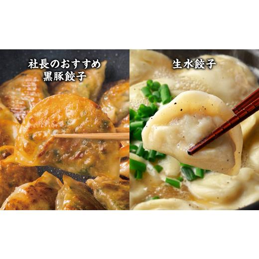 ふるさと納税 熊本県 八代市  八代市東陽町の生姜を使った 餃子の王国 餃子 8種詰合せ 生餃子