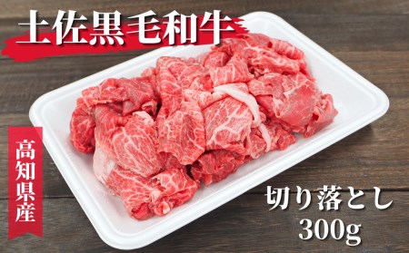 土佐黒毛和牛 切り落とし 300g