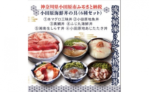 小田原海鮮丼の具（6種セット）