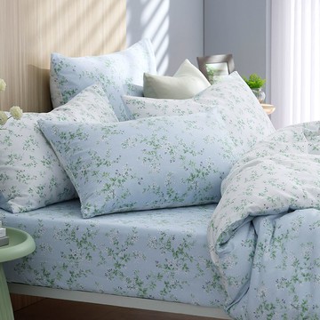 鴻宇 HongYew - 單人床包枕套組 100%精梳棉 純棉-卡芮