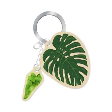 種籽設計《龜背芋》造型一卡通 代銷