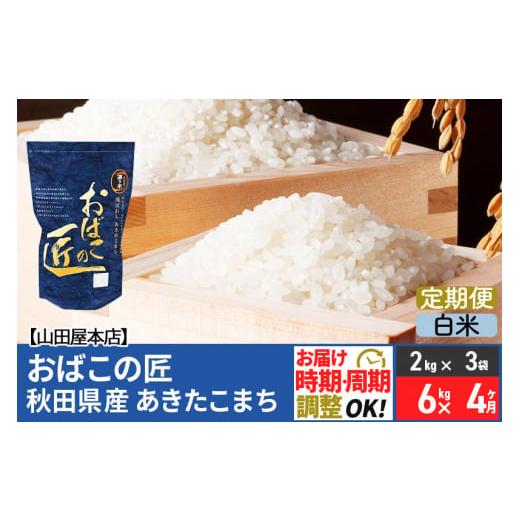 ふるさと納税 秋田県 美郷町 《定期便4ヶ月》令和5年産 おばこの匠 秋田県産あきたこまち 6kg×4回 計24kg 4か月 4ヵ月 4カ月 4ケ月 秋田こまち お米