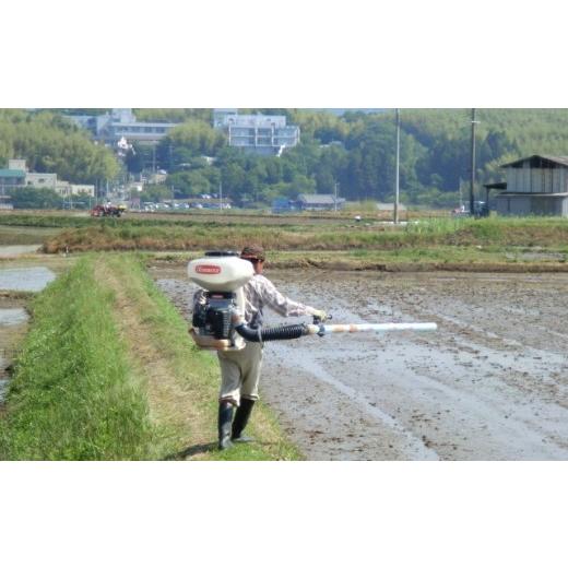 ふるさと納税 奈良県 天理市 ＜R5年10月中旬以降発送＞ひのひかり玄米30kg＜令和5年産＞(一等米)