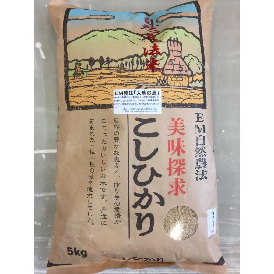 令和5年産 新米 無農薬栽培米 こしひかり 玄米 5kg 「大地の恵」 コシヒカリ お米  自然農法 米