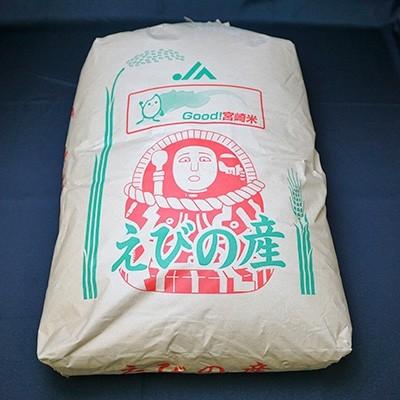 ふるさと納税 えびの市 えびの産ひのひかり　玄米　30kg