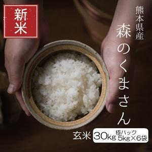 ふるさと納税 新米 令和5年産 森のくまさん 極パック 玄米 30kg（5kg×6袋） 熊本県和水町