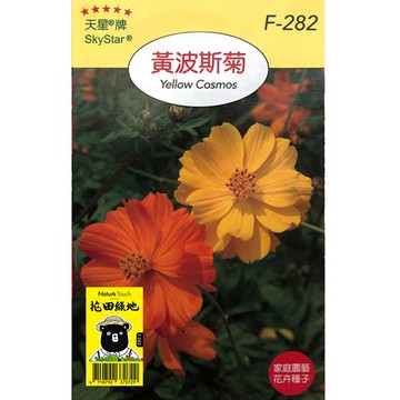 花田綠地種子-黃波斯菊