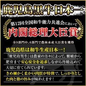 ふるさと納税 No.347 ＜肉質等級5等級＞(E-301)鹿児島黒牛サーロインステーキ2枚・すきやきセット(計1kg) 鹿児島県日置市