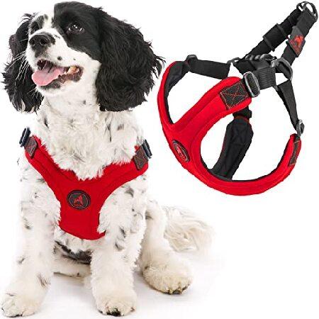 Gooby Escape Free Sport Harness Red, Medium No Choke Step-in