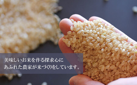 令和5年産 新米 特別栽培米 山形つや姫 定期便 精米10kg（5kg×2袋）×3ヶ月 鶴岡ファーマーズ